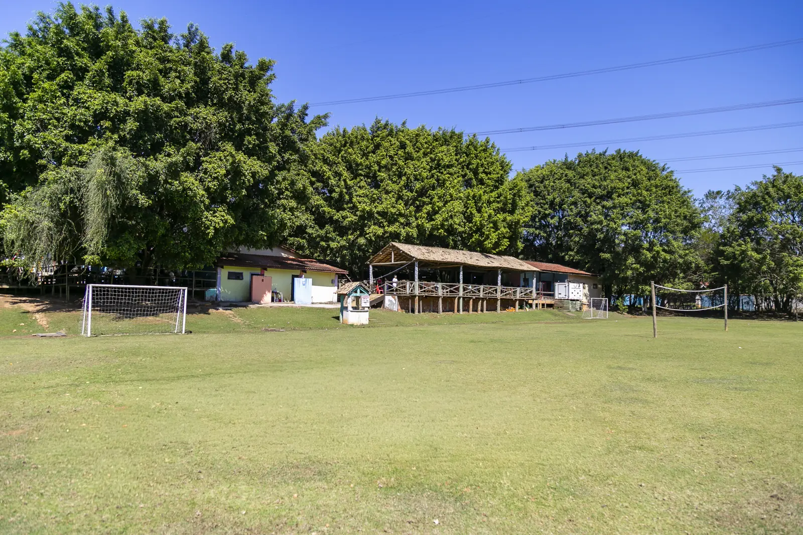 Campo gramado